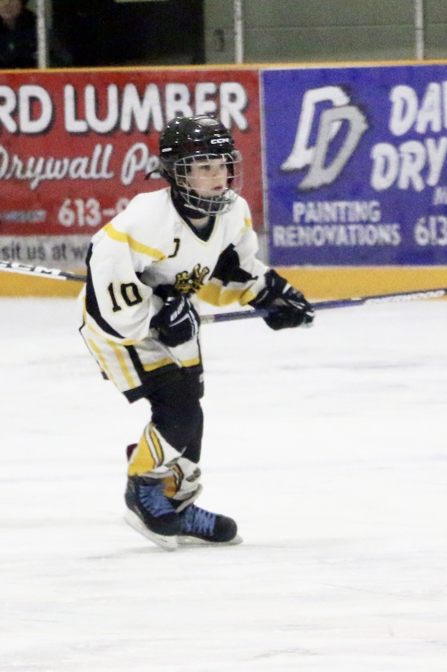 Sample print package