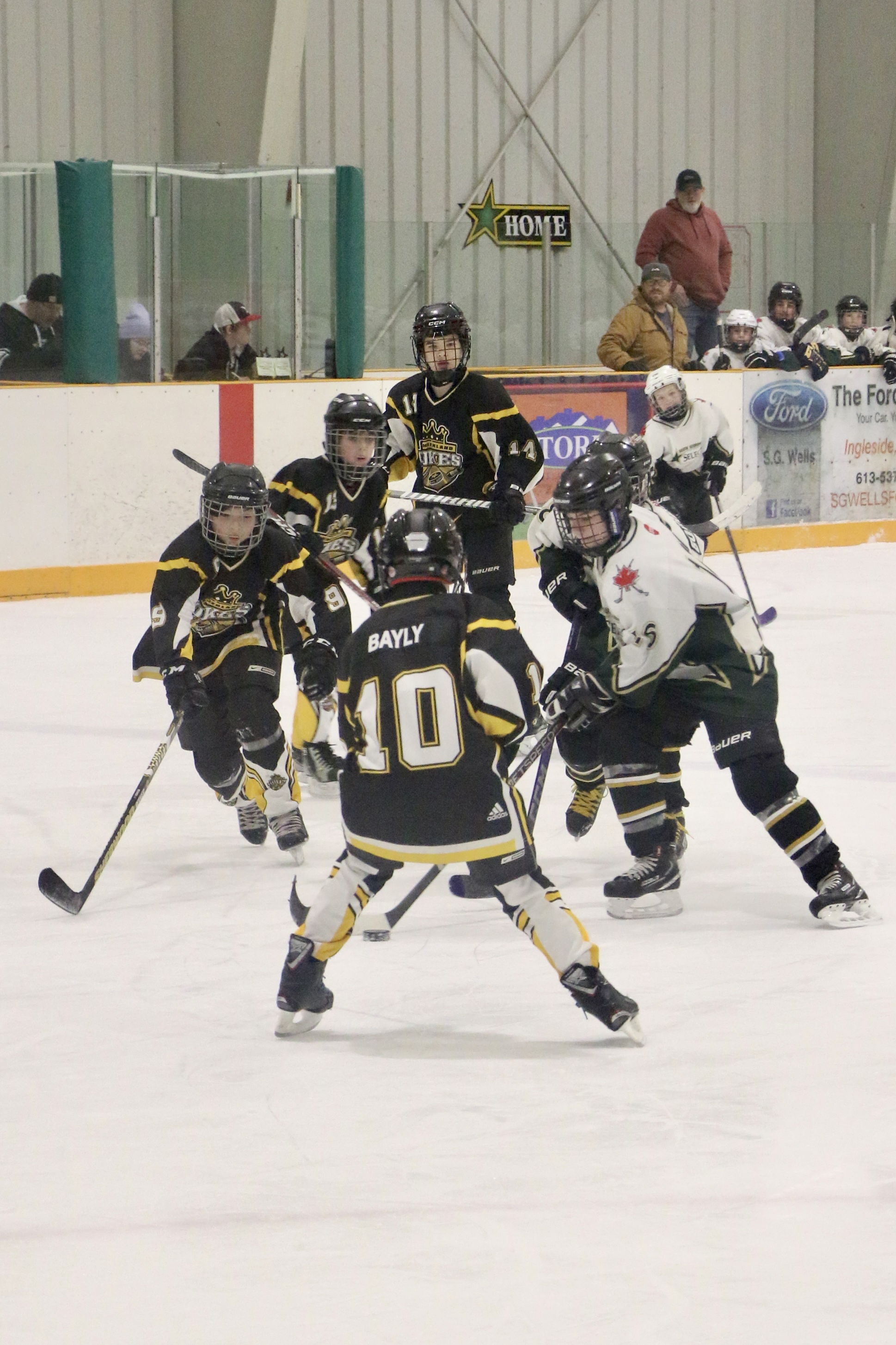 Sample print package